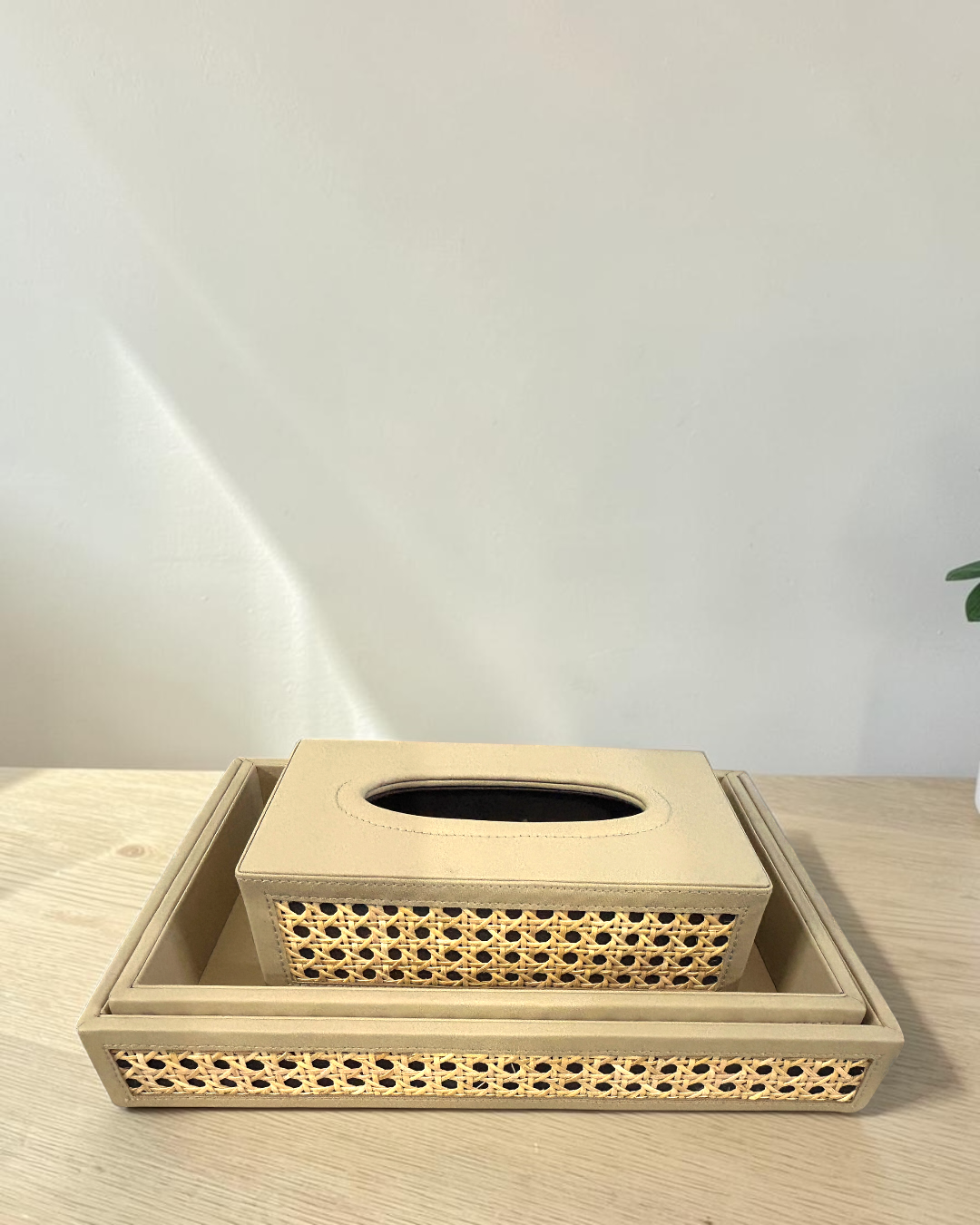 Luxury Vegan Leather Rattan Cane Tray & Tissue Box Set | Premium Home & Office Decor