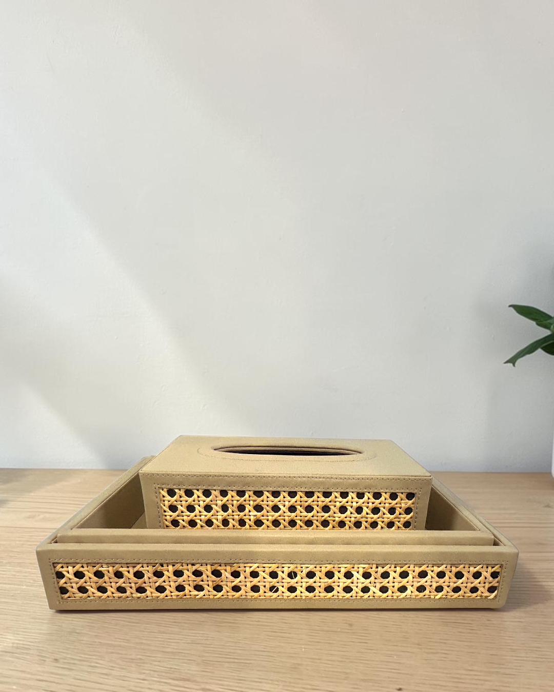 Luxury Vegan Leather Rattan Cane Tray & Tissue Box Set | Premium Home & Office Decor