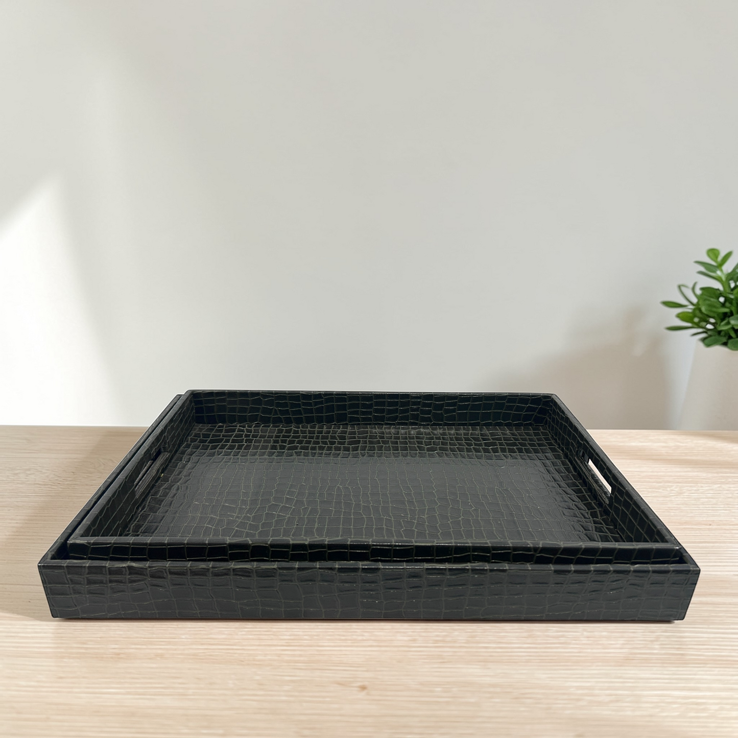 Leatherite Tray